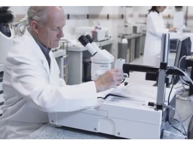 Flash Differential Scanning Calorimetry (Flash DSC)