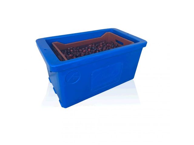 Insulated robust container - 50L