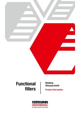 Functional Fillers for Elastomers