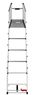 Telescopic ladder