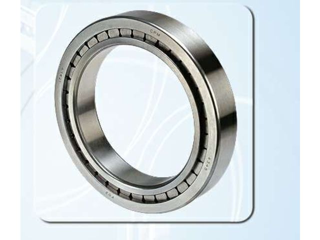 Full complement cylindrical roller bearing : ART.4345